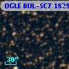 OGLE BUL-SC7 182910