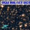 OGLE BUL-SC7 182905