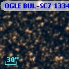 OGLE BUL-SC7 133445