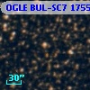 OGLE BUL-SC7 175534
