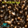 V* V1836 Sgr