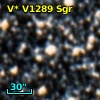 V* V1289 Sgr