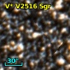 V* V2516 Sgr