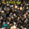 V* V2515 Sgr