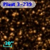 Plaut 3-239