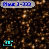 Plaut 3-333