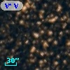 V* V2900 Sgr