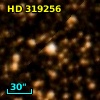 HD 319256