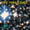 TYC 7393-1318-1