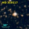 HD 319117