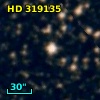 HD 319135