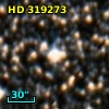 HD 319273