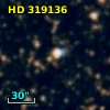 HD 319136