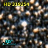 HD 319254