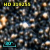 HD 319255