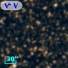 V* V4619 Sgr
