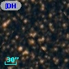 [DHM99] BG979