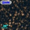 [DHM99] BG1251