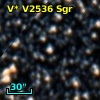 V* V2536 Sgr