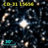 CD-31 15656