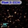 Plaut 3-1524