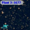 Plaut 3-1677
