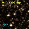 V* V1202 Sgr