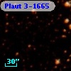 Plaut 3-1665