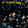 V* V3565 Sgr