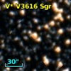 V* V3616 Sgr