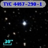 TYC 4487-290-1