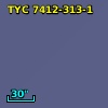 TYC 7412-313-1
