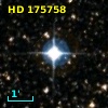 HD 175758