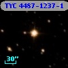 TYC 4487-1237-1
