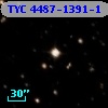 TYC 4487-1391-1