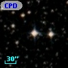 CPD-31  5893