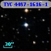 TYC 4487-1616-1