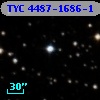 TYC 4487-1686-1