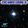 TYC 4487-1890-1
