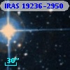 IRAS 19236-2950
