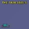 TYC 7424-1021-1