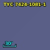 TYC 7424-1081-1