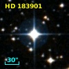 HD 183901