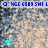 Cl* NGC 6809    SVH     145