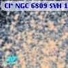 Cl* NGC 6809    SVH     171