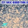 Cl* NGC 6809    SVH     195