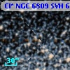 Cl* NGC 6809    SVH     608