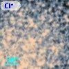 Cl* NGC 6809  MFRBS S12