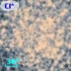 Cl* NGC 6809  MFRBS      11