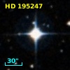 HD 195247